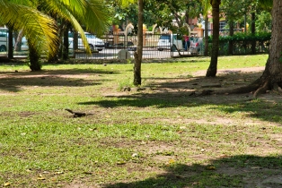 Legend Park_3