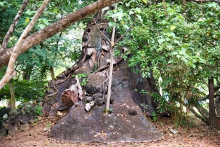 Legend Park