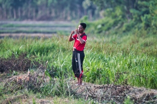 Rice Field_13