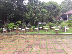 Rice Garden