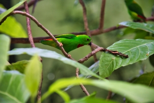 Wildlife Park