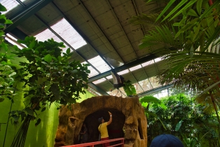 Wildlife Park