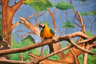 Wildlife Park_3