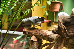 Wildlife Park