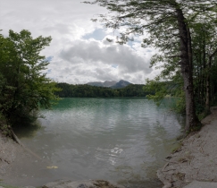 Alatsee