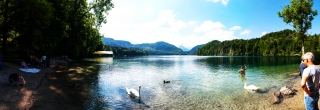 Allgäu - Alpsee (11)
