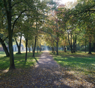 Aschaffenburg - Schönbusch (6)