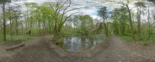 Bruchköbel (6)