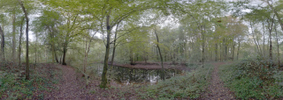 Bruchköbel (9)