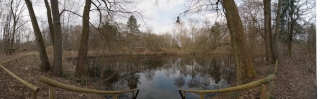 Bruchköbel (3)