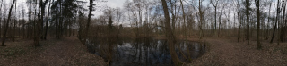 Bruchköbel (4)