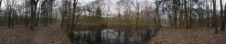 Bruchköbel (5)