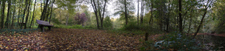 Bruchköbel (1)