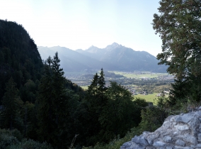 Ehrenberg