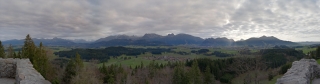 Eisenberg (2)
