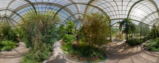 Frankfurt - Palmengarten (61)
