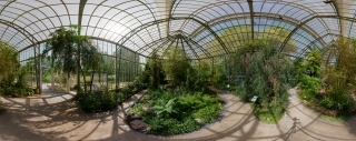 Frankfurt - Palmengarten (62)