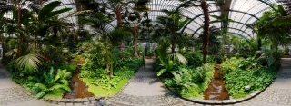 Palmengarten (34)
