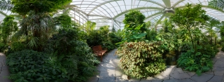 Palmengarten (38)