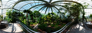 Palmengarten (40)