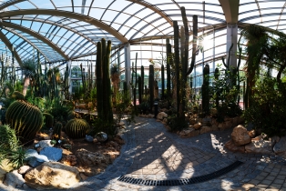 Palmengarten (41)