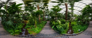 Palmengarten (42)