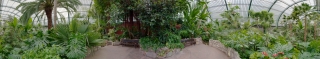 Palmengarten (44)