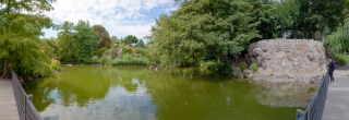 Palmengarten (45)