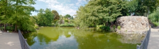 Palmengarten (46)