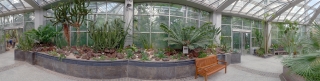 Palmengarten (48)
