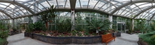 Palmengarten (49)