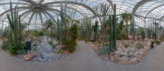 Palmengarten (50)