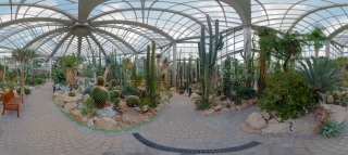 Palmengarten (51)