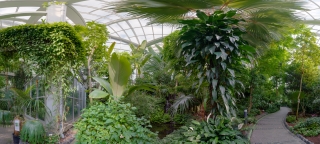 Palmengarten (54)