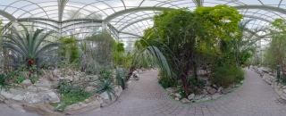 Palmengarten (55)