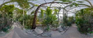 Palmengarten (56)