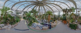 Palmengarten (57)