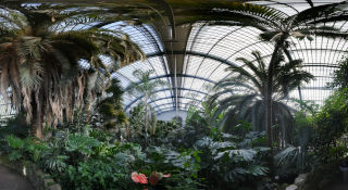 Palmengarten (10)