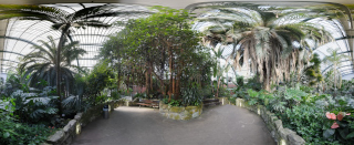 Palmengarten (11)