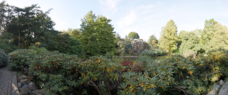 Palmengarten (13)