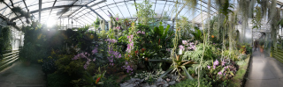 Palmengarten (17)