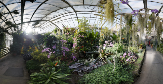 Palmengarten (18)
