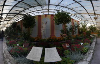 Palmengarten (19)