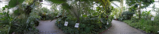 Palmengarten (1)