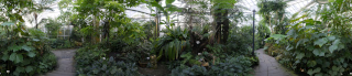 Palmengarten (20)