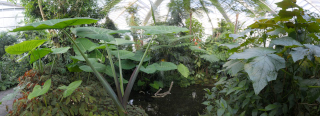 Palmengarten (21)