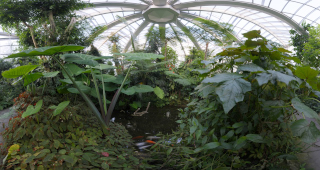 Palmengarten (22)