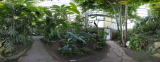 Palmengarten (23)