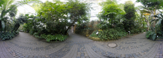 Palmengarten (24)