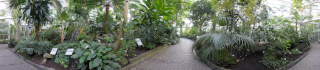 Palmengarten (25)